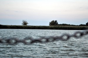 sm_DSC_0792