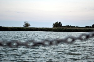 sm_DSC_0793