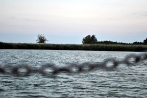 sm_DSC_0794