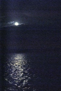 sm_DSC_0805
