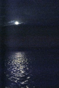 sm_DSC_0806