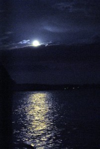 sm_DSC_0809