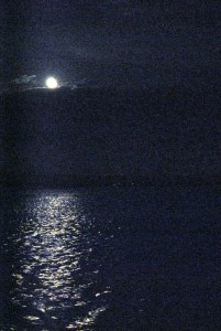 sm_DSC_0810
