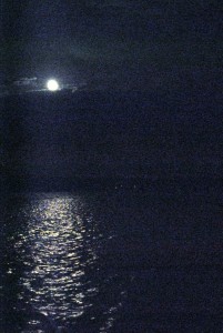 sm_DSC_0811