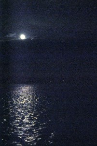 sm_DSC_0812