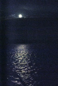 sm_DSC_0816