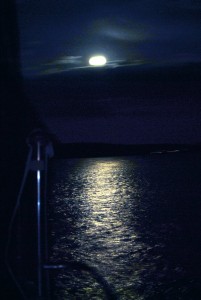 sm_DSC_0818