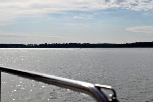 sm_DSC_0819