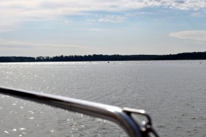 sm_DSC_0820