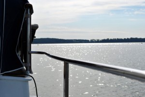 sm_DSC_0821