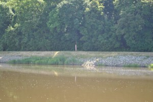 smallDSC_0177