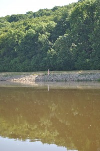 smallDSC_0179
