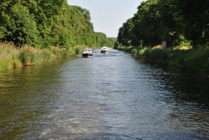 smallDSC_0204