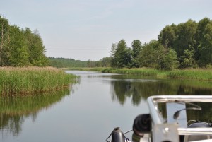 smallDSC_0206