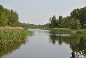 smallDSC_0207