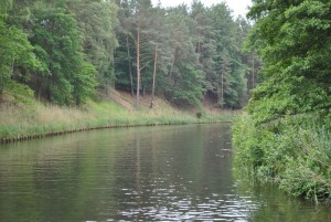 smallDSC_0217