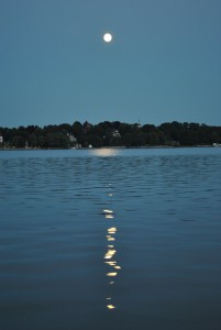 smallDSC_0225