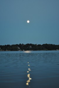 small_DSC_0221