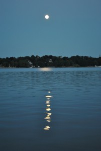 small_DSC_0223