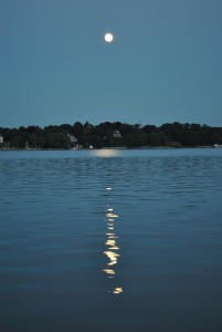 small_DSC_0224