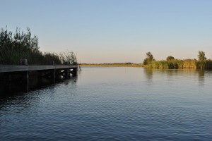 small_DSC_1998