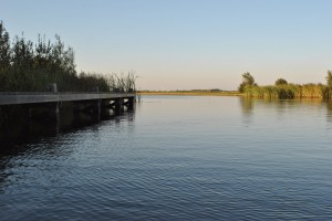 small_DSC_1999  