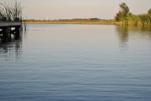 small_DSC_2000  