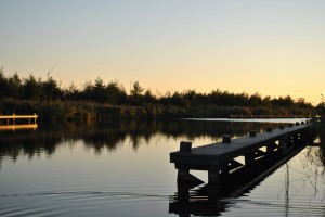 small_DSC_2002  