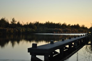 small_DSC_2003  