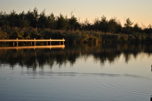 small_DSC_2004  