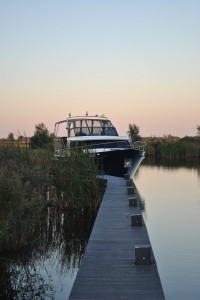 small_DSC_2005  