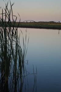 small_DSC_2006  