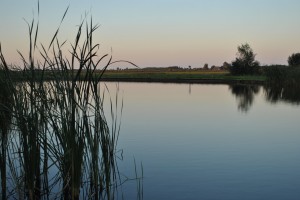 small_DSC_2007  