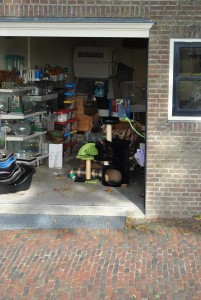 small_DSC_2030  