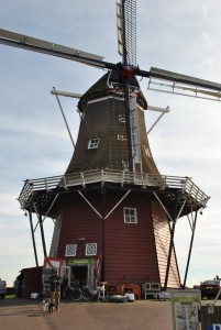 small_DSC_2031  